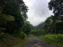 Access to one of the Waitukubuli trails: We didn